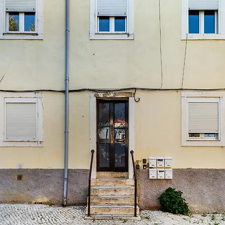Whome Your In Vibrant Beato Appartement